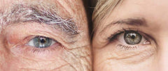 Are you at risk of macular disease? - Sparks & Feros Optometrists
