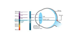 Good Blue Light - Sparks & Feros Optometrists